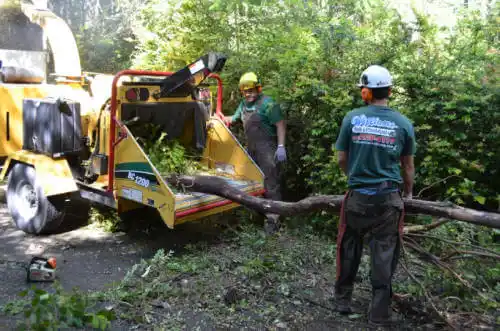 tree services Atchison